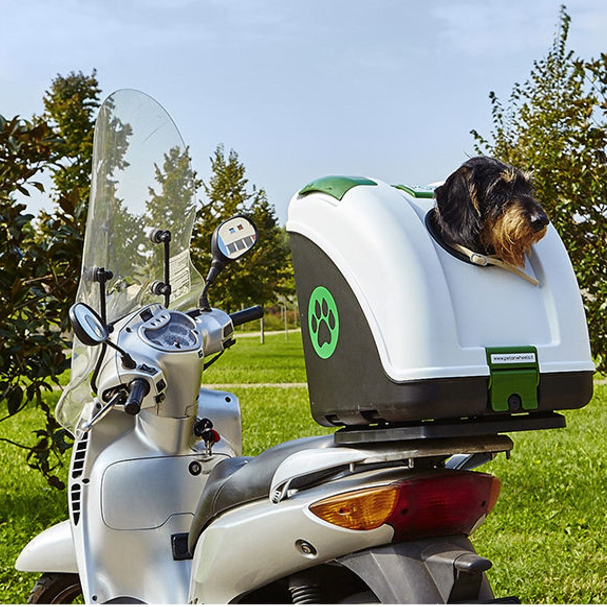 Bauletto per trasporto animali in moto, bici e auto - POW Pet On Wheel
